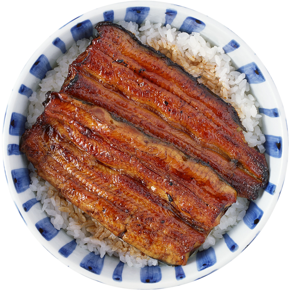 Unagi Rice