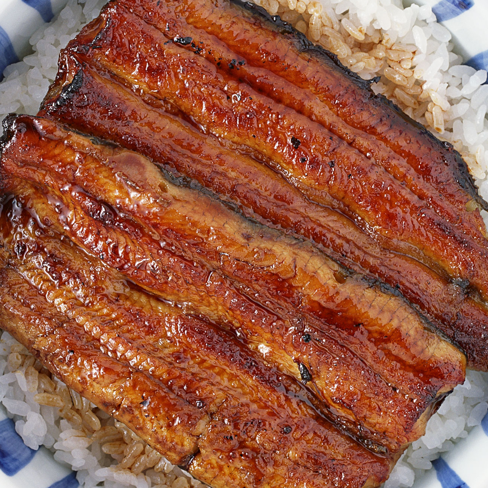 Unagi Rice