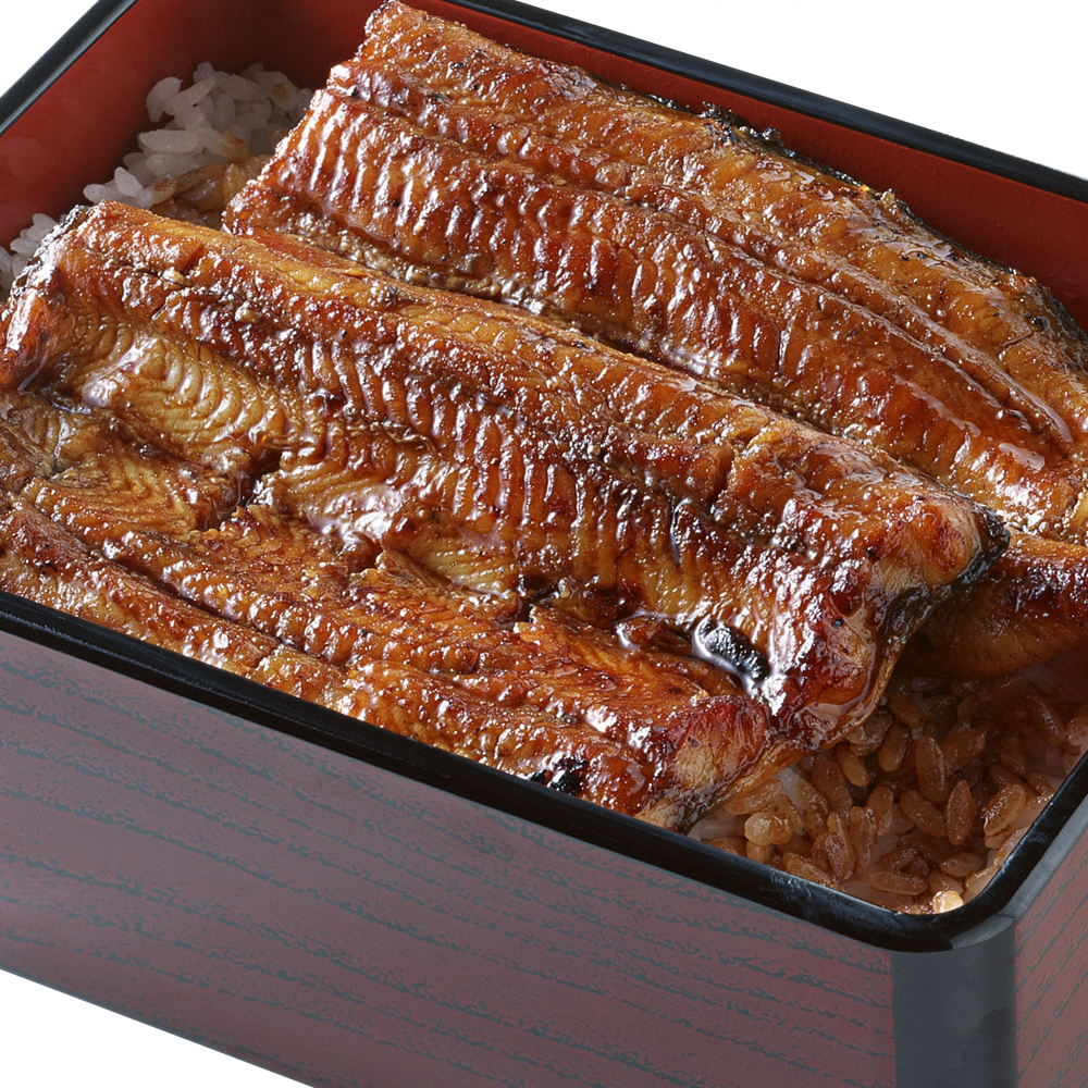 Unagi Rice