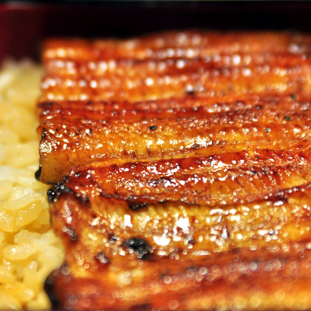 Unagi Rice