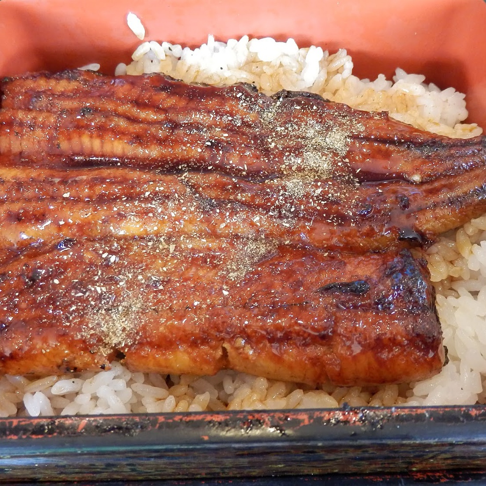 Unagi Rice